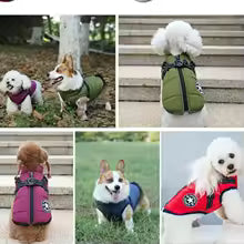Waterproof Winter Warm Pet Dog Jacket