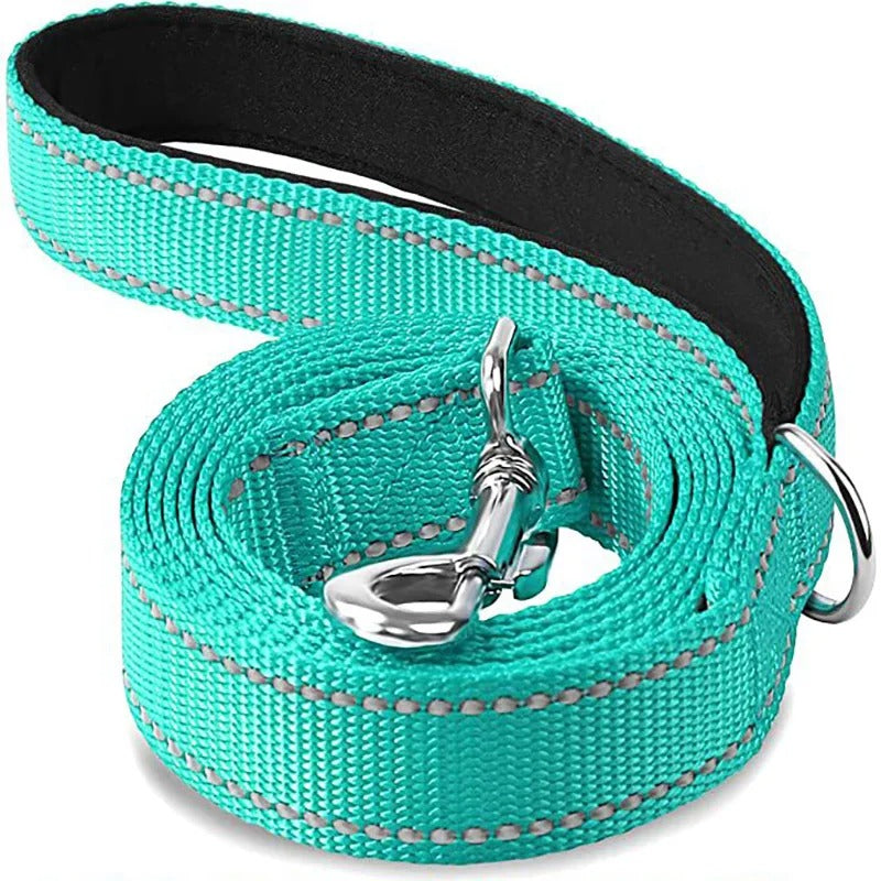 Night Reflection Pet Towing Rope