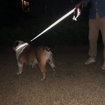 Night Reflection Pet Towing Rope