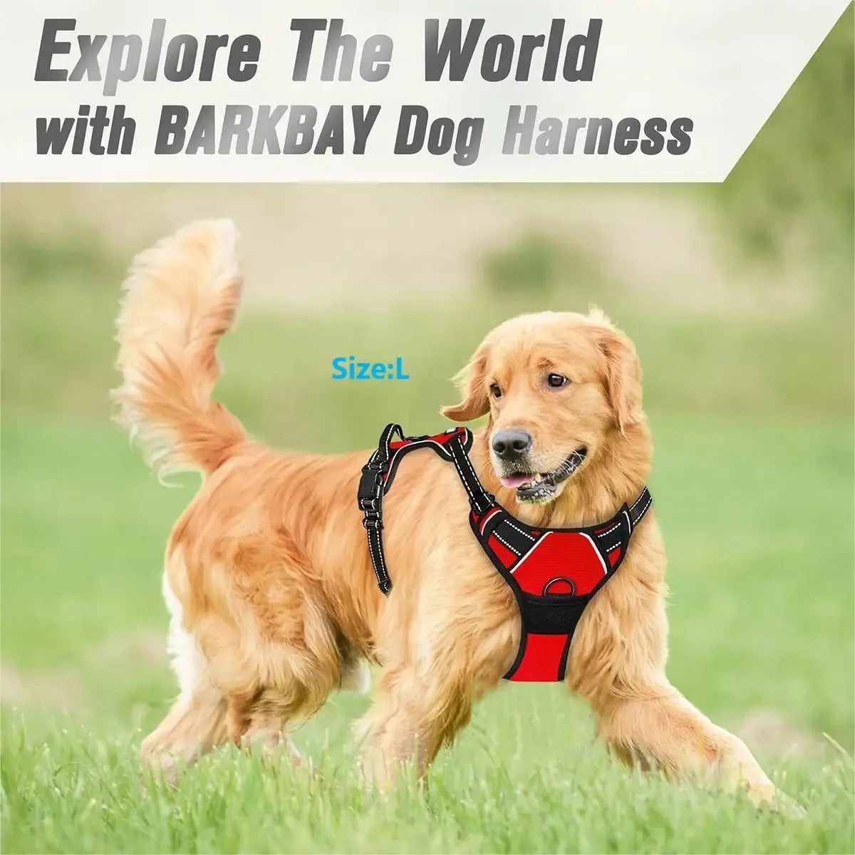 Dog Collar Vest