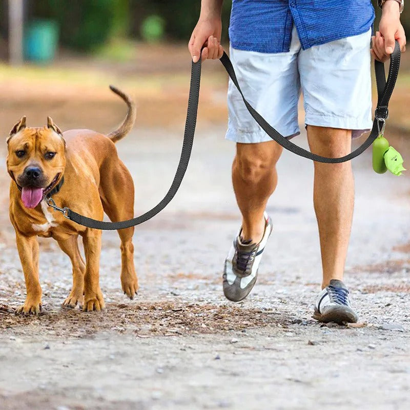 Night Reflection Pet Towing Rope