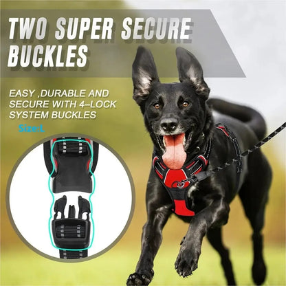 Dog Collar Vest
